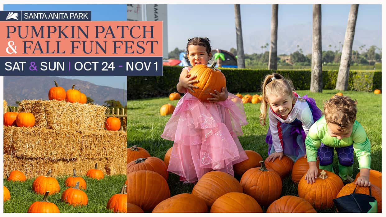 FallFest AUT26 1920x1080
