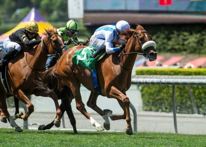 FRENCH-BRED NEIGE BLANCHE GOES GATE TO WIRE IN WINNING $100,000 POSSIBLY PERFECT STAKES