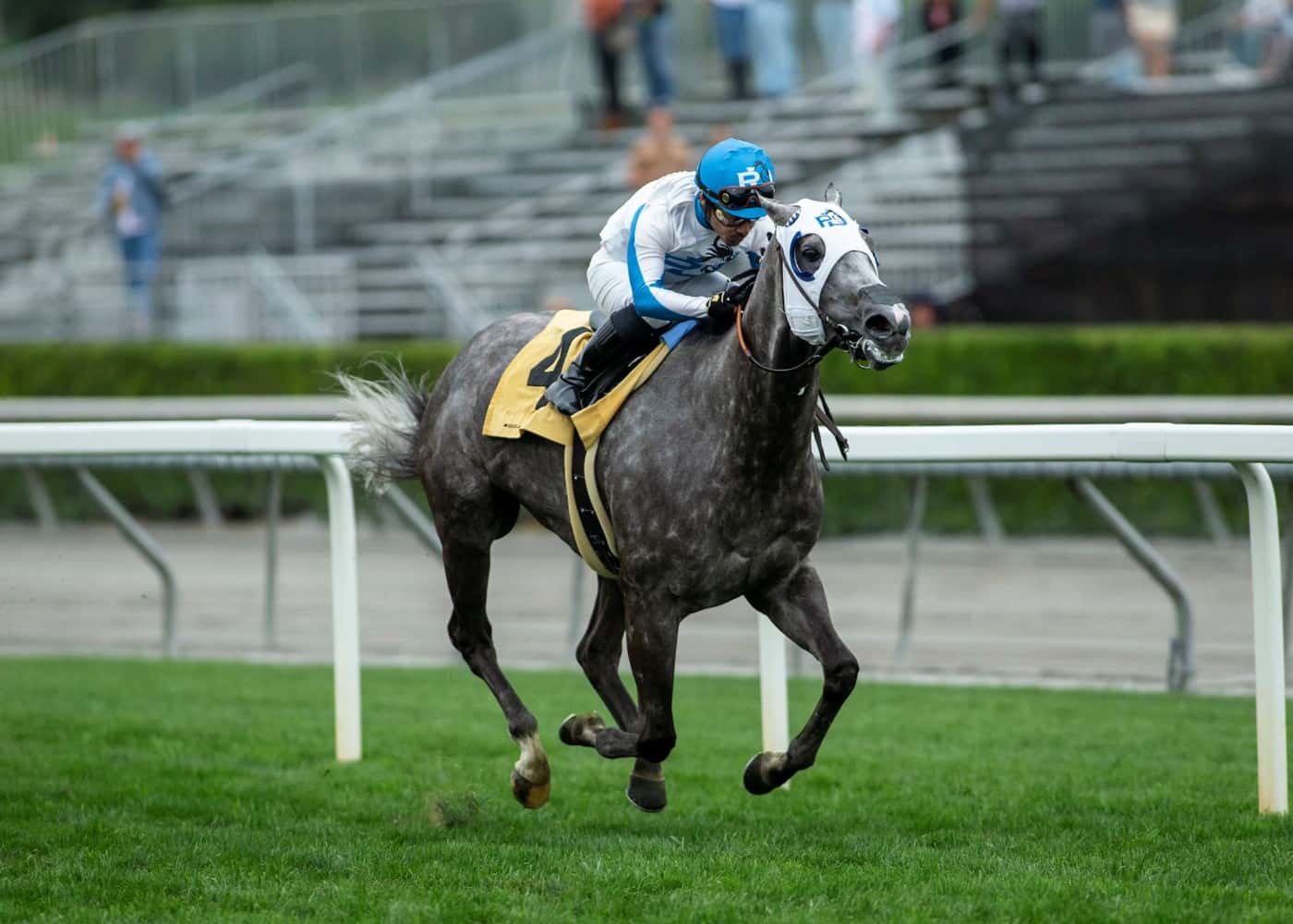 Speedy Leggs Galore Tops Saturday’s $100,000 California Distaff Handicap