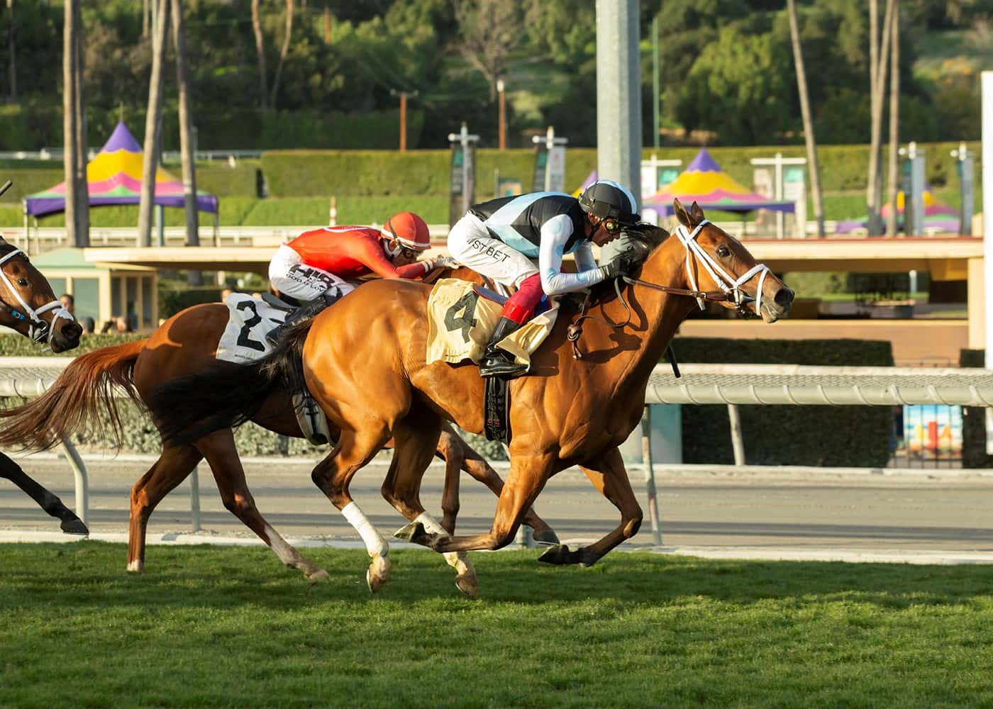 Manhattan Jungle Heads Solid Field Of Six Sophomore Fillies Going 6 ½ Furlongs Down Hillside Turf Course In Sunday’s $100,000 Angels Flight Stakes