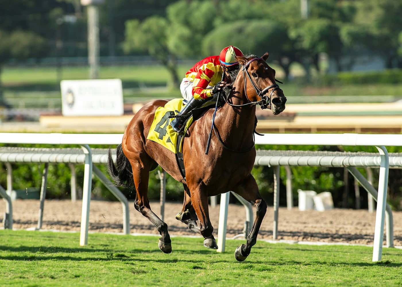 Queen Of The Mud Comes West And Scores As The Favorite In $80,000 Swingtime Stakes