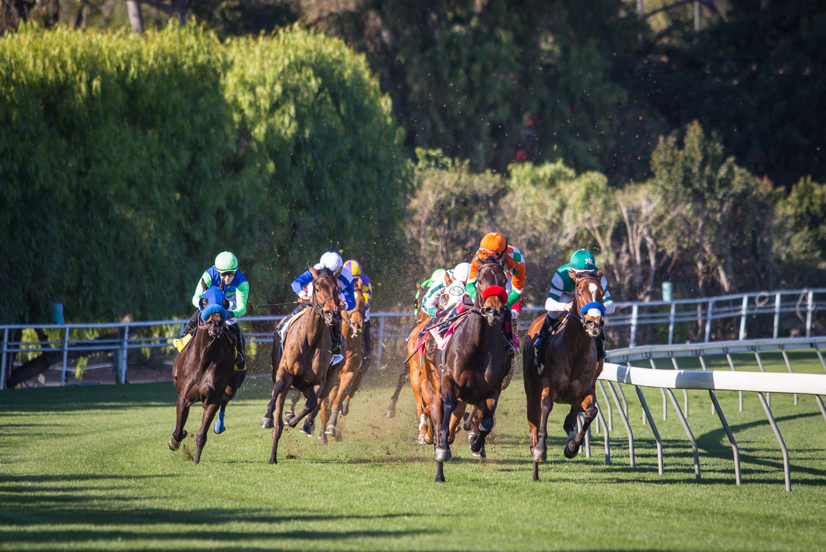 Santa Anita To Offer Record Purses At Upcoming Classic Meet Which Opens Dec. 26