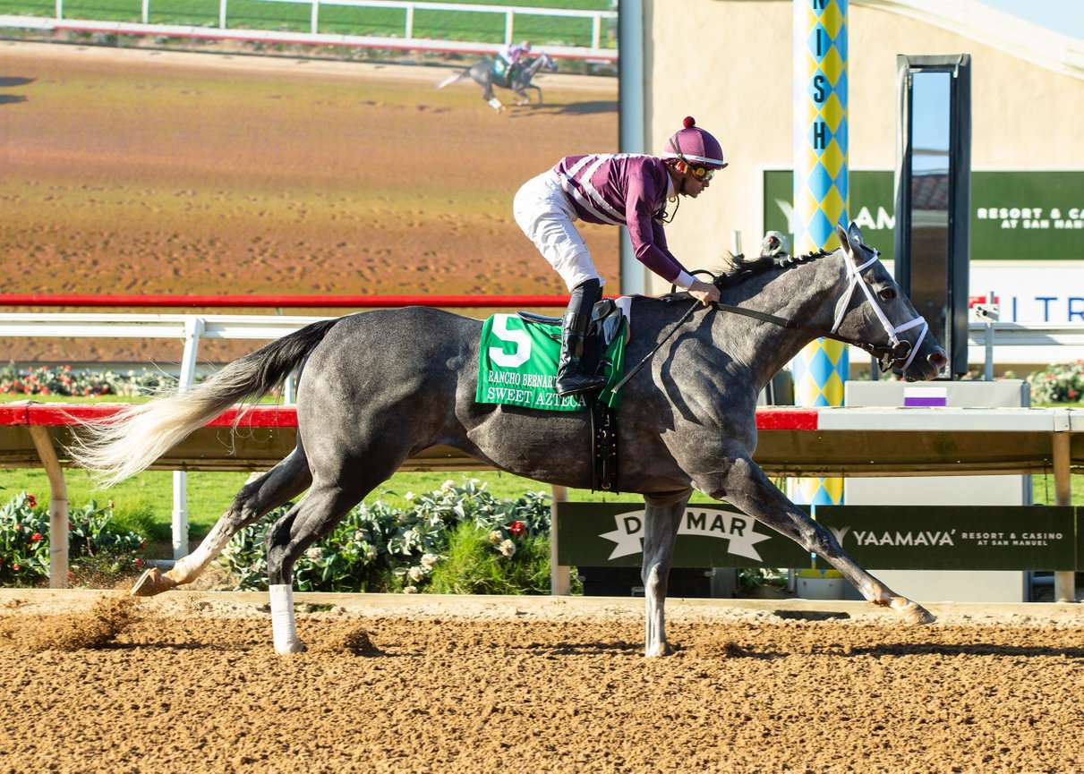 Grade I Winner Sweet Azteca Looms Large In Saturday’s GIII, $100,000 Chillingworth Stakes