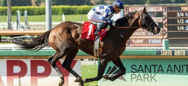 Hopper Gallops By 5 ¼ Lengths In Grade III, $100,000 Affirmed Stakes