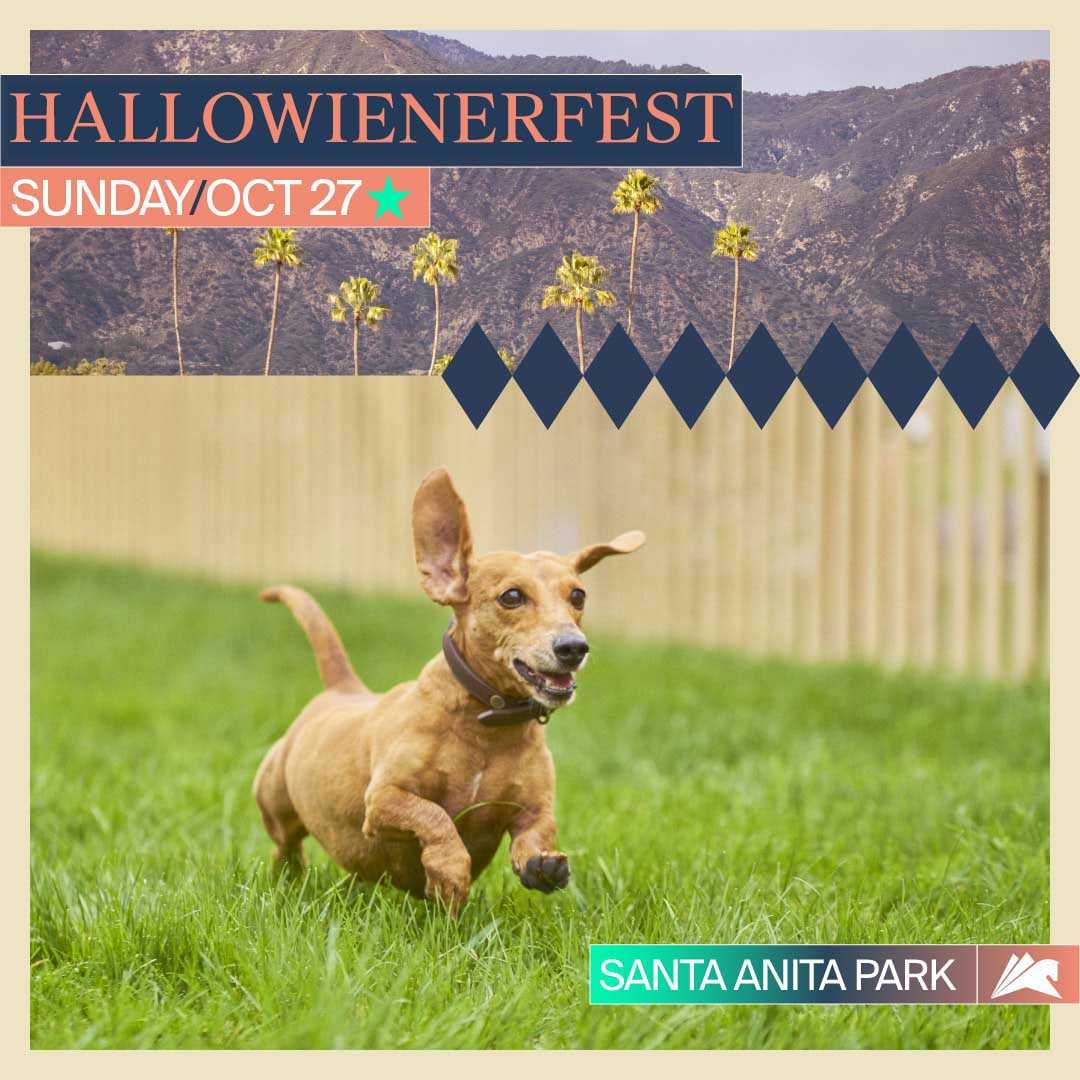 HalloWienerfest1x1