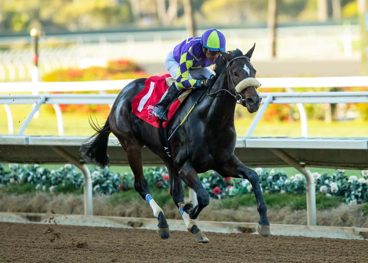 C R K Stable’s Talented Justique Heads Sunday’s Grade III, $100,000 Santa Ynez Stakes