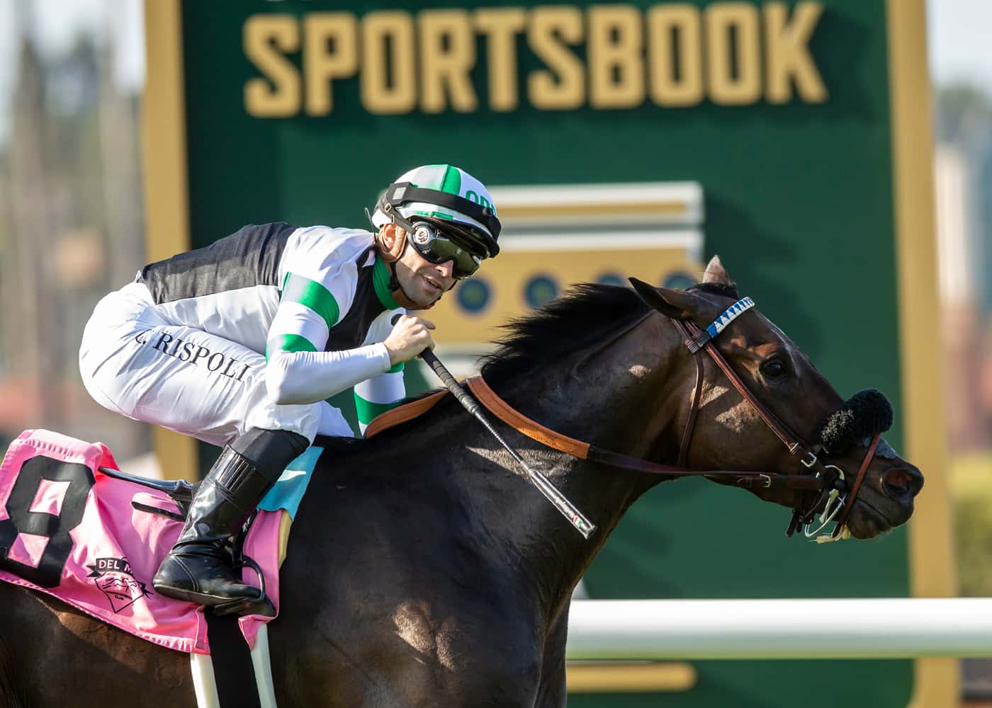 D’Amato’s Irish-Bred Balnikhov Heads Monday’s Grassy Grade II, $200,000 Santa Anita Mathis Mile