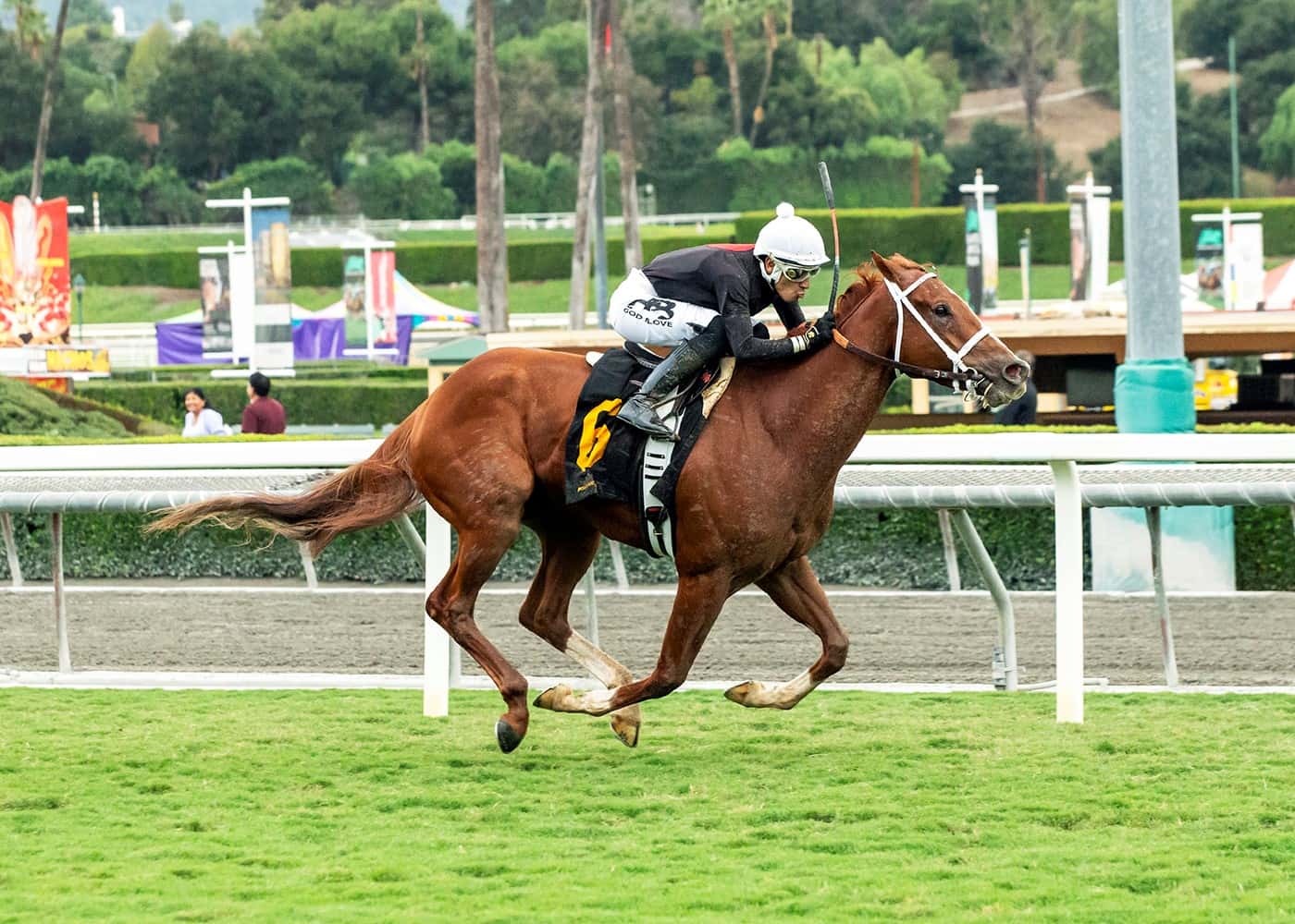 Highly Accomplished The Chosen Vron Heads Saturday’s $150,000 Don Valpredo California Cup Sprint