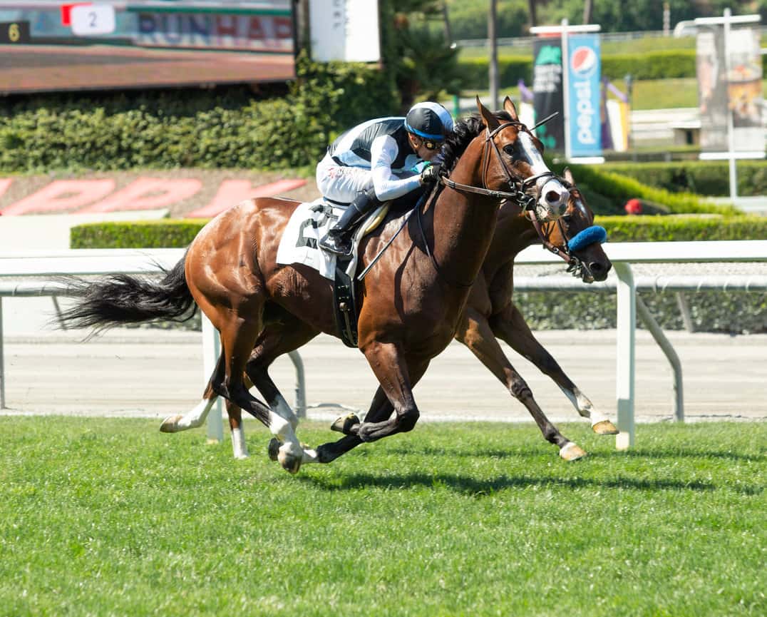 Air Force Red Prominent In Saturday's $80,000 Lure Stakes At One Mile On Turf