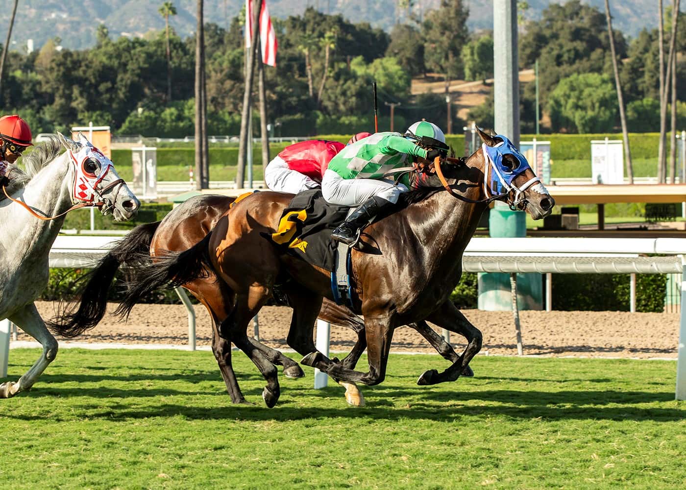 On The Whim (3-1) Collects 2nd Stakes Win In Sunday’s $100,000 California Flag Handicap