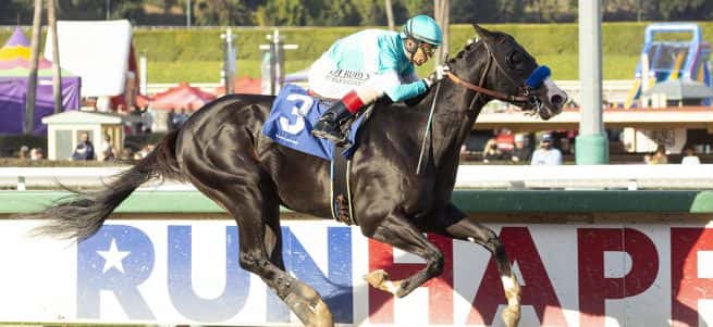 Multiple Stakes Winning Newgrange Tops Saturday’s Grade III, $100,000 Affirmed Stakes