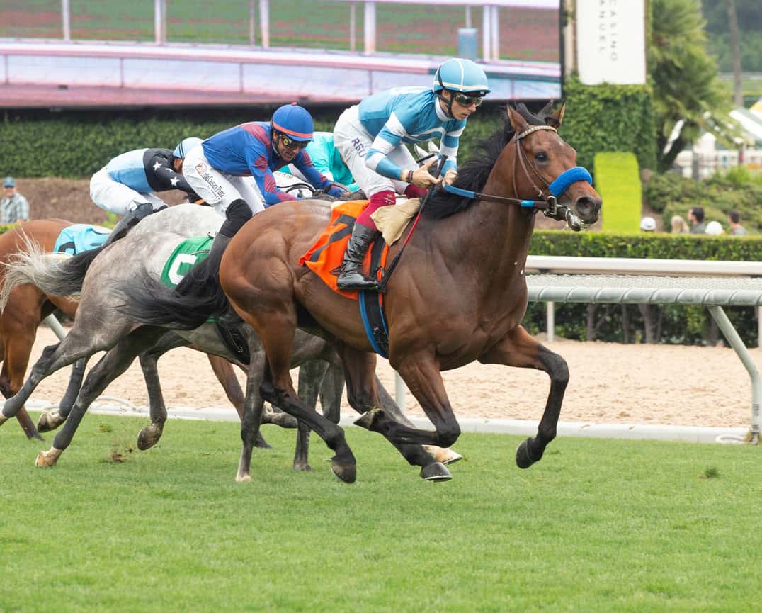 Santa Anita Stable Notes Friday, Oct. 25, 2024