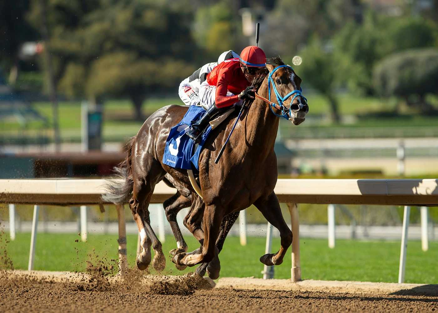 Favored Dance to the Music Battles Early & Prevails By One Length In Grade III, $100,000 Desert Stormer Stakes