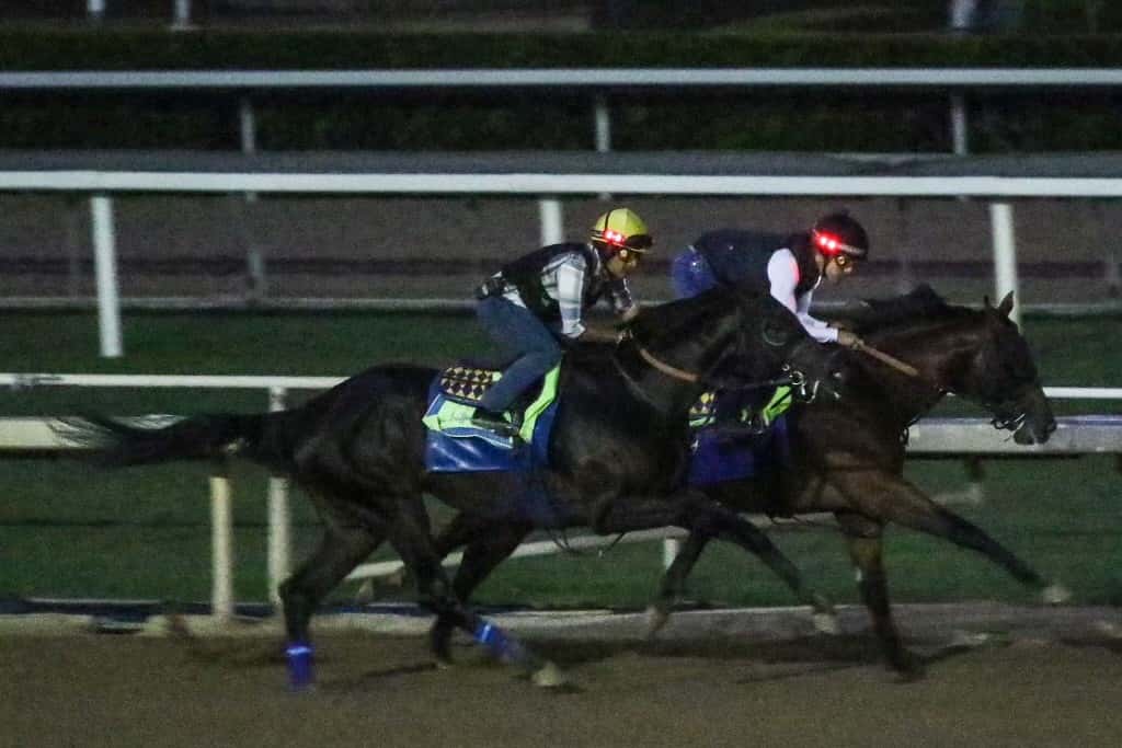 Santa Anita Stable Notes Monday, Oct. 14, 2024