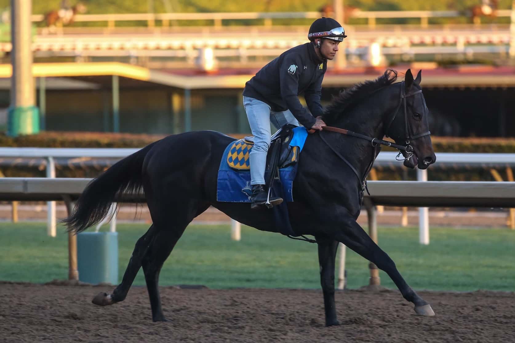 Santa Anita Stable Notes Saturday, January 14, 2023