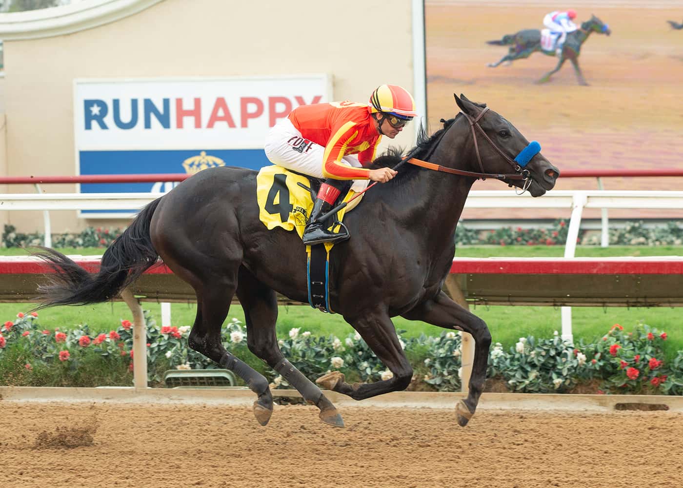 Speed Boat Beach Switches To Turf In Sunday’s $100,000 Speakeasy Stakes