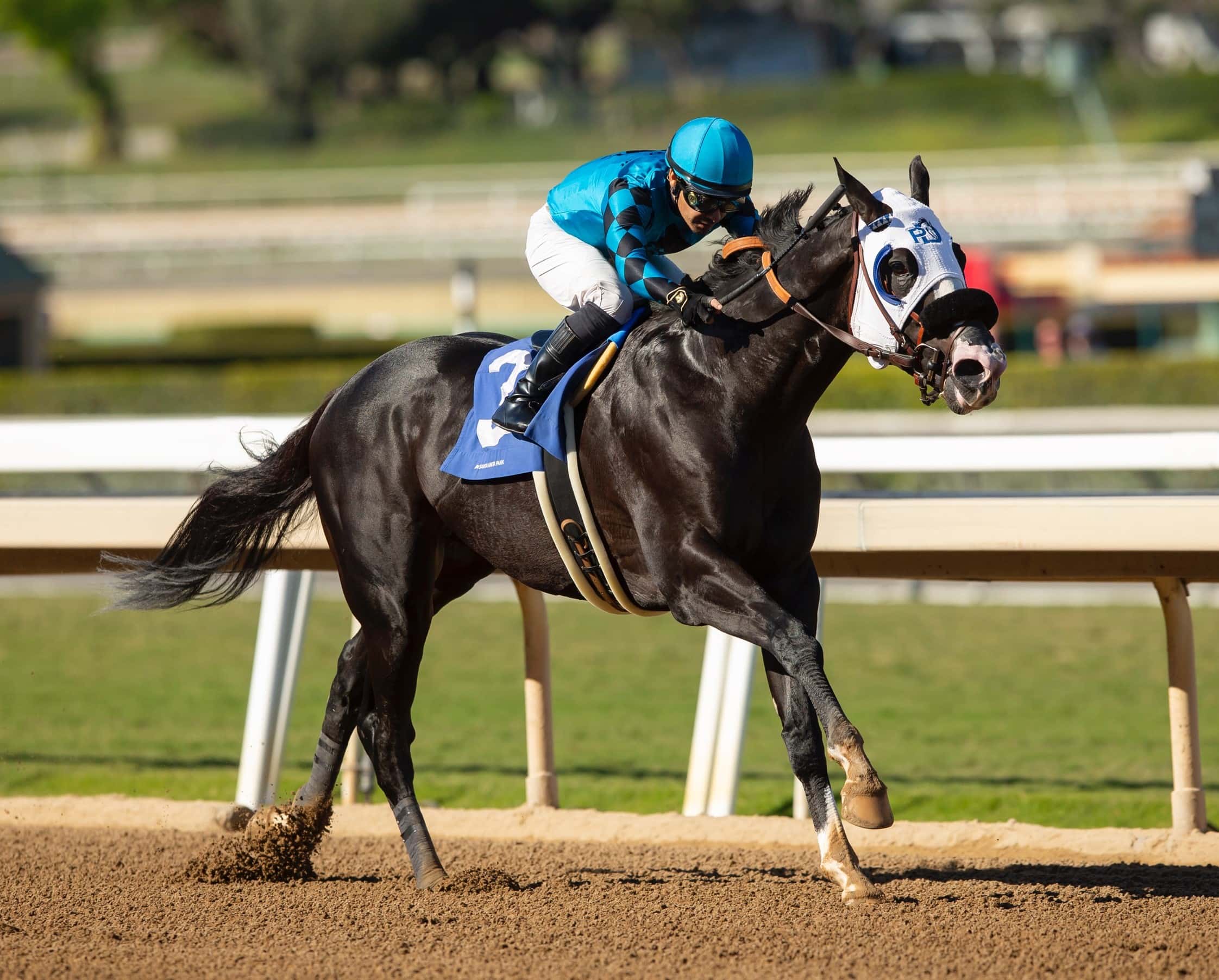 Newgrange Leads Throughout & Takes $65,000 Santa Anita Allowance Feature 