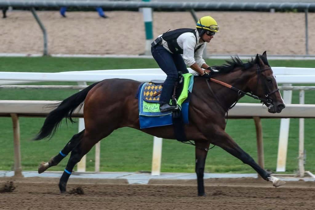 Santa Anita Stable Notes Sunday, June 9, 2024