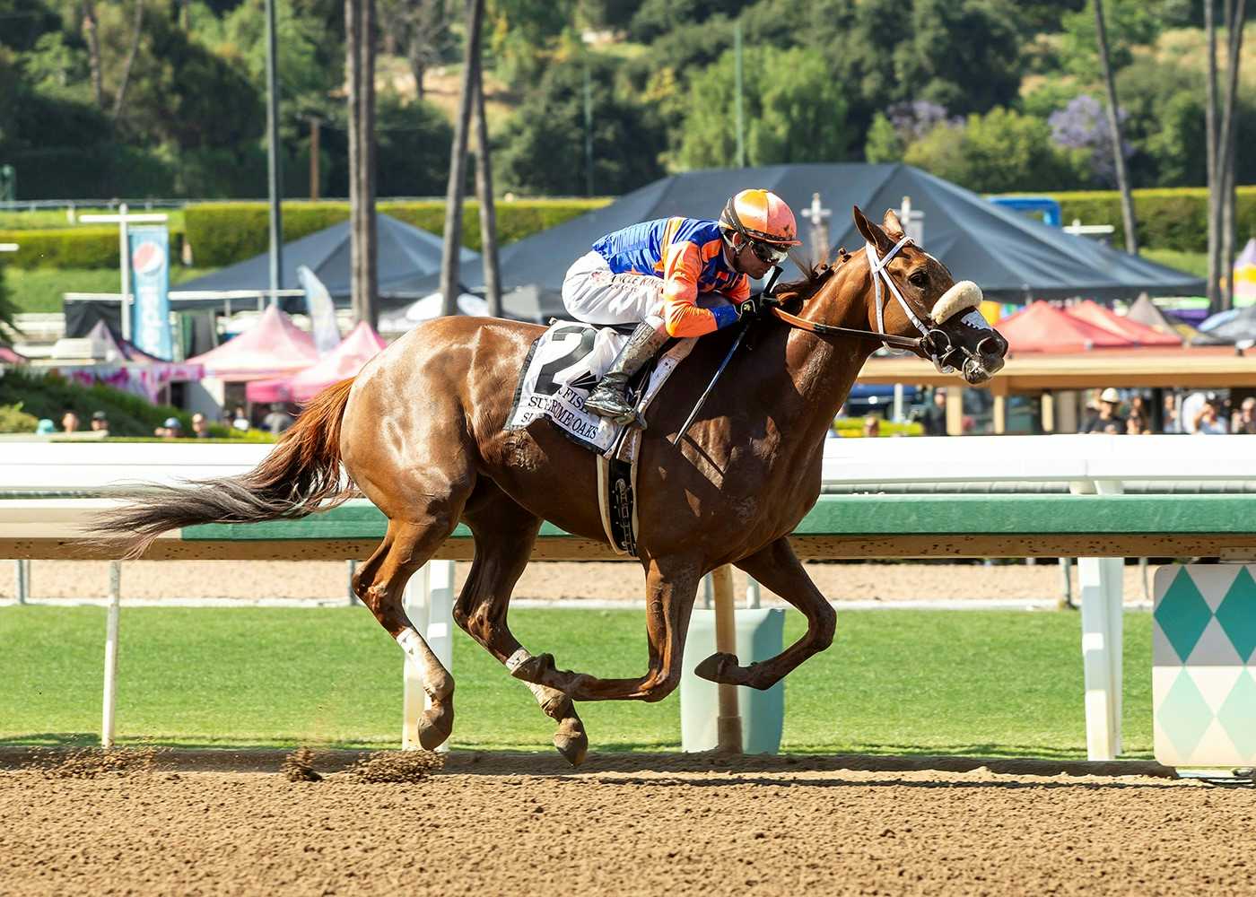 Sugar Fish Looks To Get Back On The Beam In Sunday’s GII, $200,000 Zenyatta Stakes