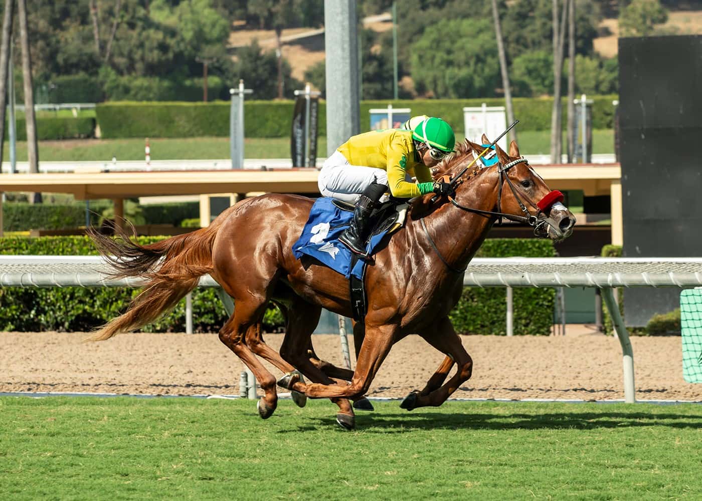 O’Neill’s Pali Kitten Springs 13-1 Upset In $100,000 Speakeasy Stakes