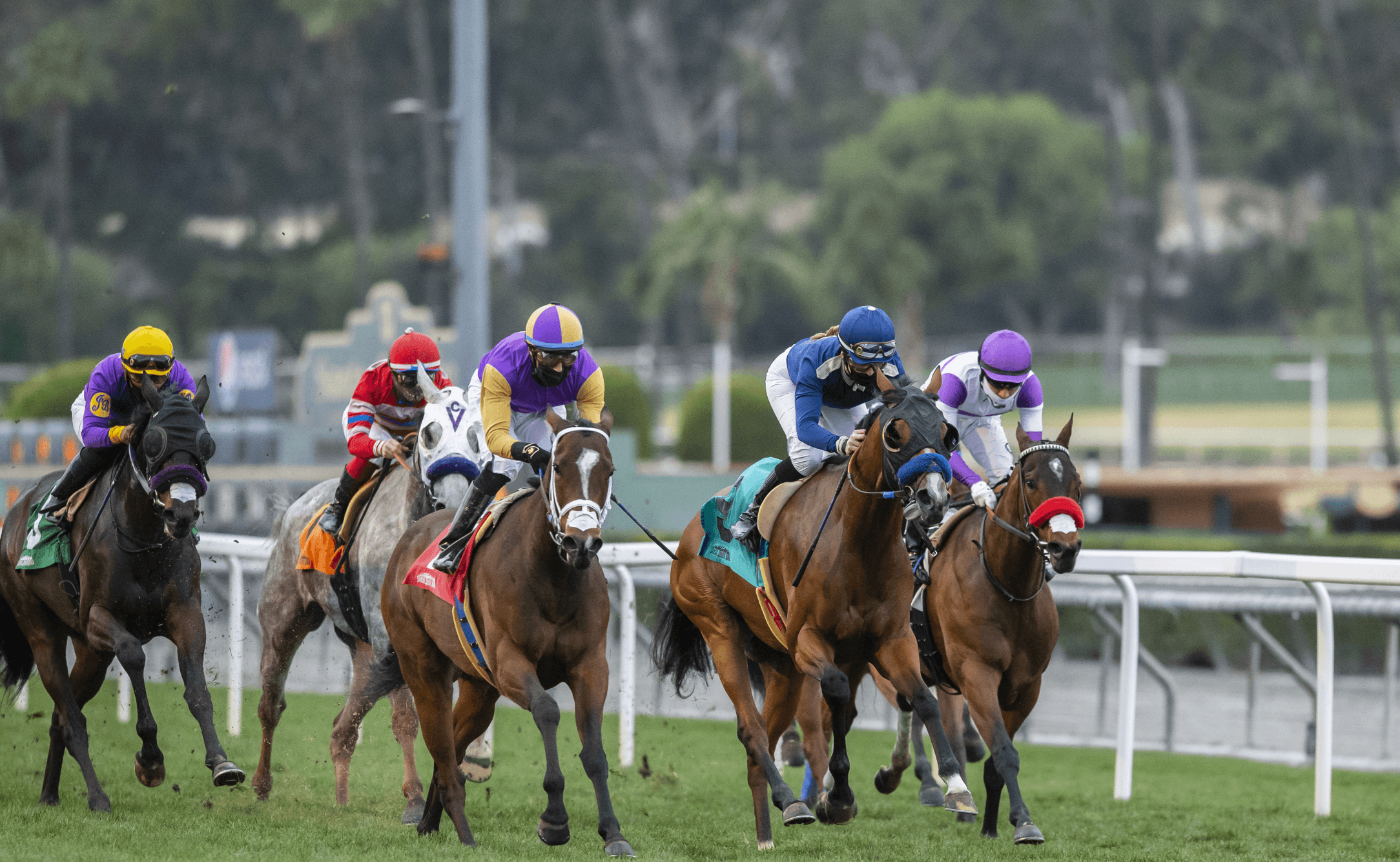 Santa Anita Announces Wagering Menu For Upcoming Classic Meet Which Opens Monday, Dec. 26