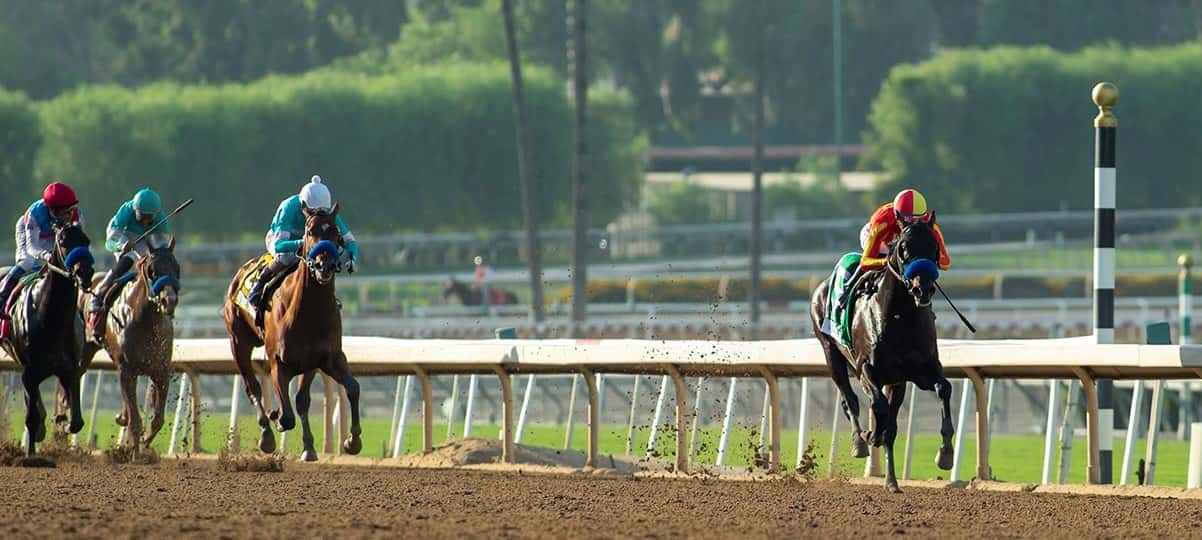 Santa Anita Stable Notes Sunday, October 9, 2022