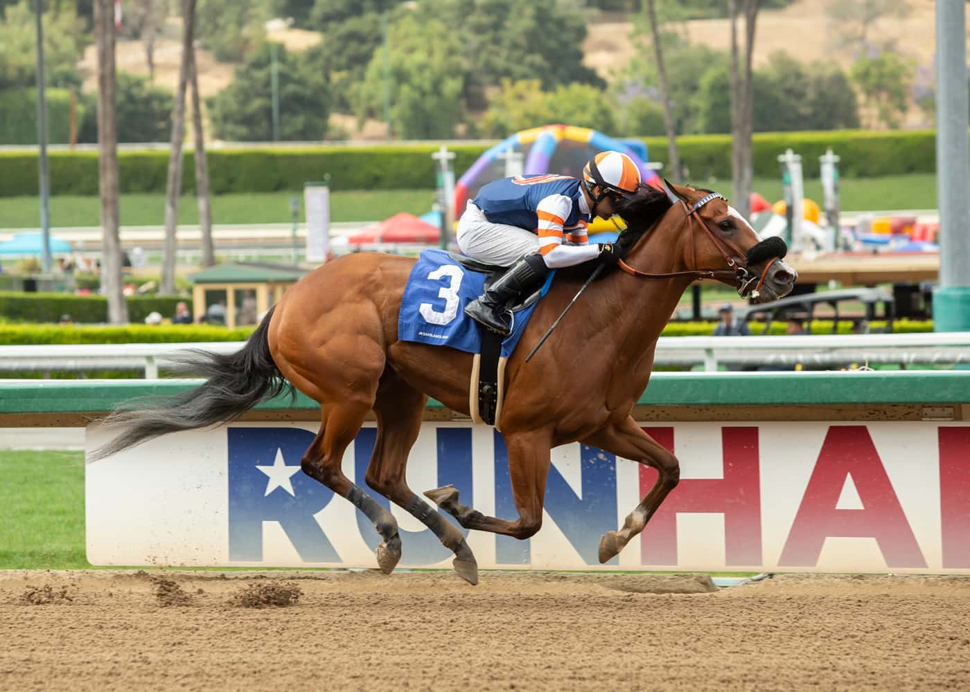 Elm Drive Returns To So Cal & Heads Saturday’s Grade III, $100,000 Desert Stormer Stakes