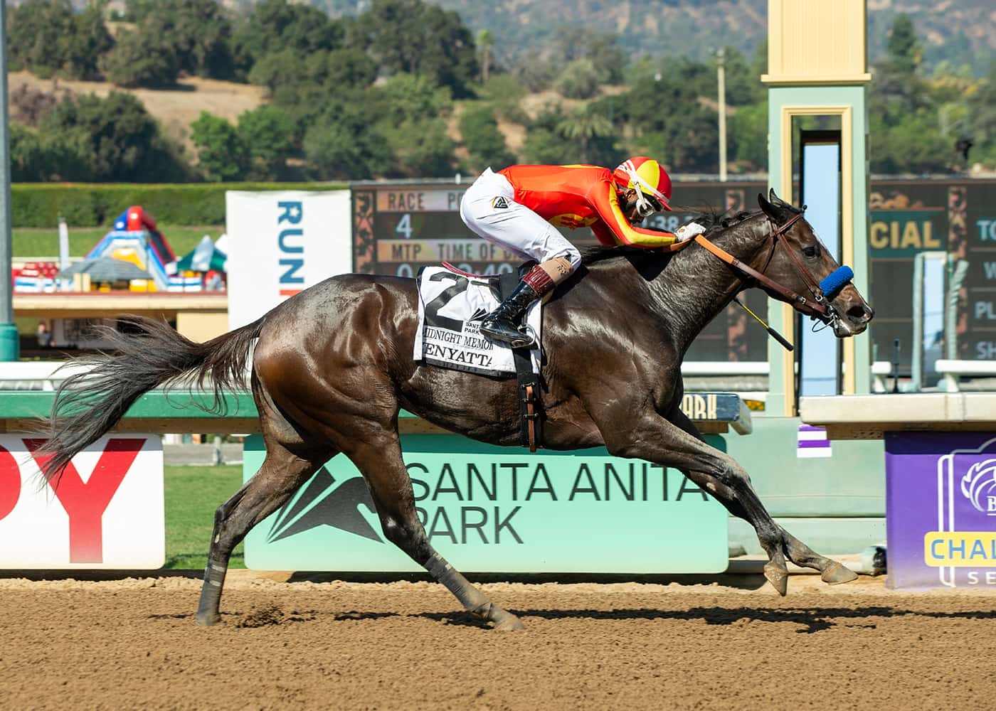 Baffert’s Midnight Memories Rates Top Billing In Monday’s Grade I, $300,000 La Brea Stakes