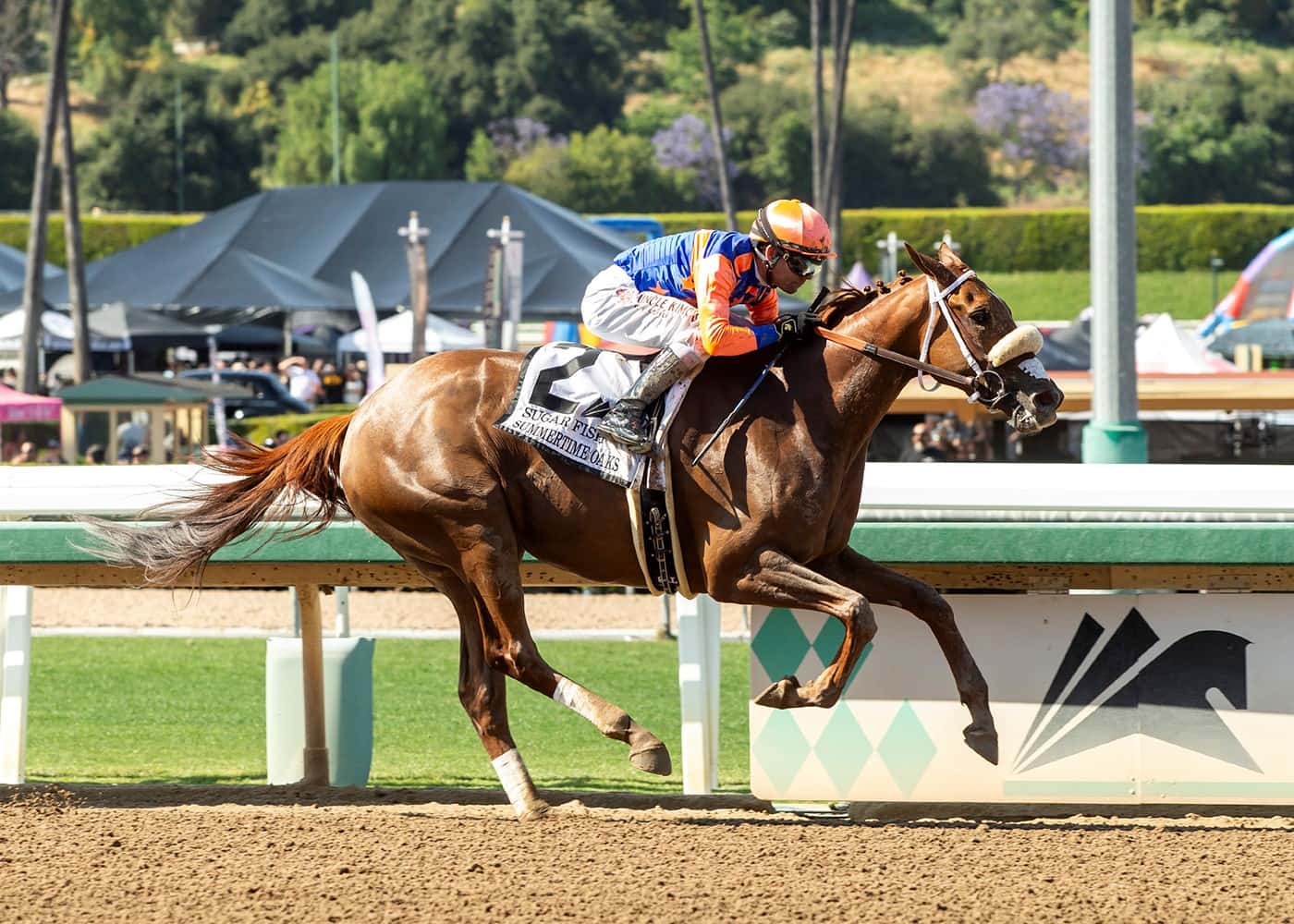 Sugar Fish Overcomes Stumbling Start To Win The GII, $200,000 Summertime Oaks