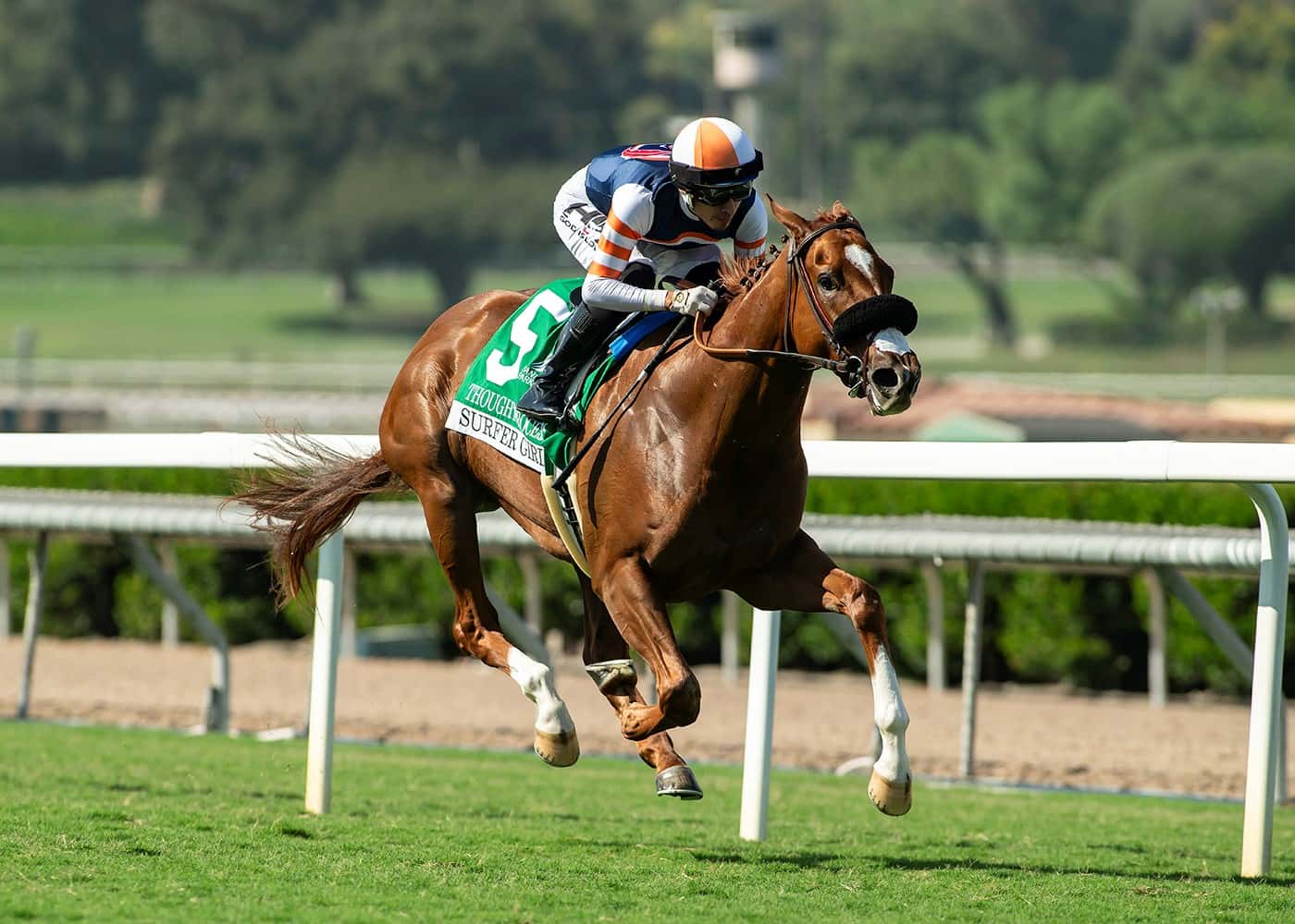 Odds-On Thought Process Earns Dominant Victory In Sunday’s GIII, $100,000 Surfer Girl Stakes