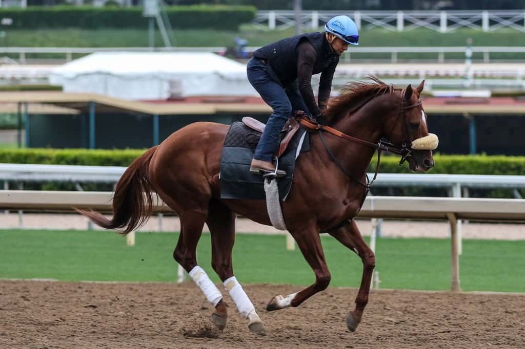 Santa Anita Stable Notes Sunday, May 12, 2024