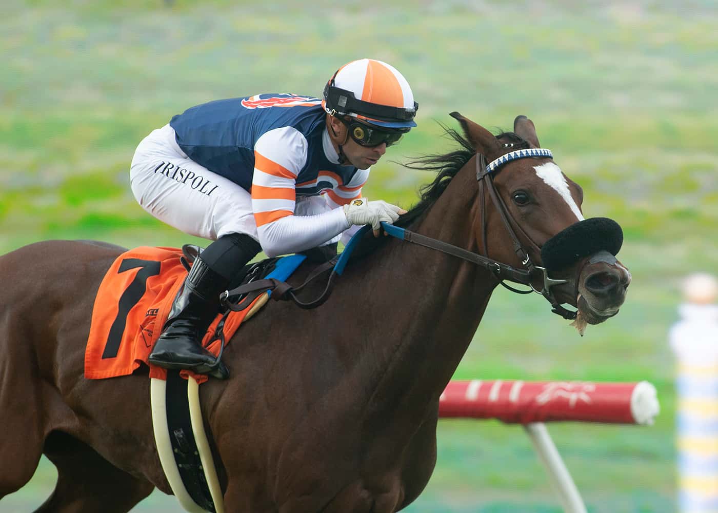 Comanche Country Heads Sunday’s Grade III, $200,000 Surfer Girl Stakes