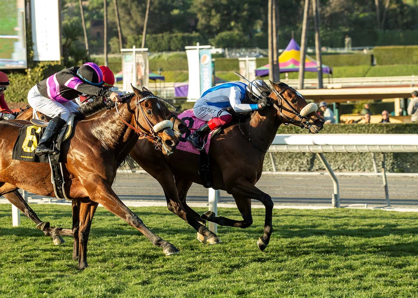 Longshot Freedom Flyer Takes $100,000 Wishing Well Stakes