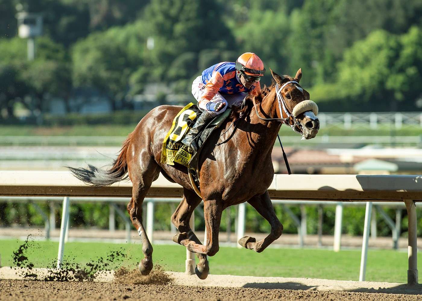 With A Return To Santa Anita, Sugar Fish Regains Winning Form In The GII, $200,000 Zenyatta Stakes