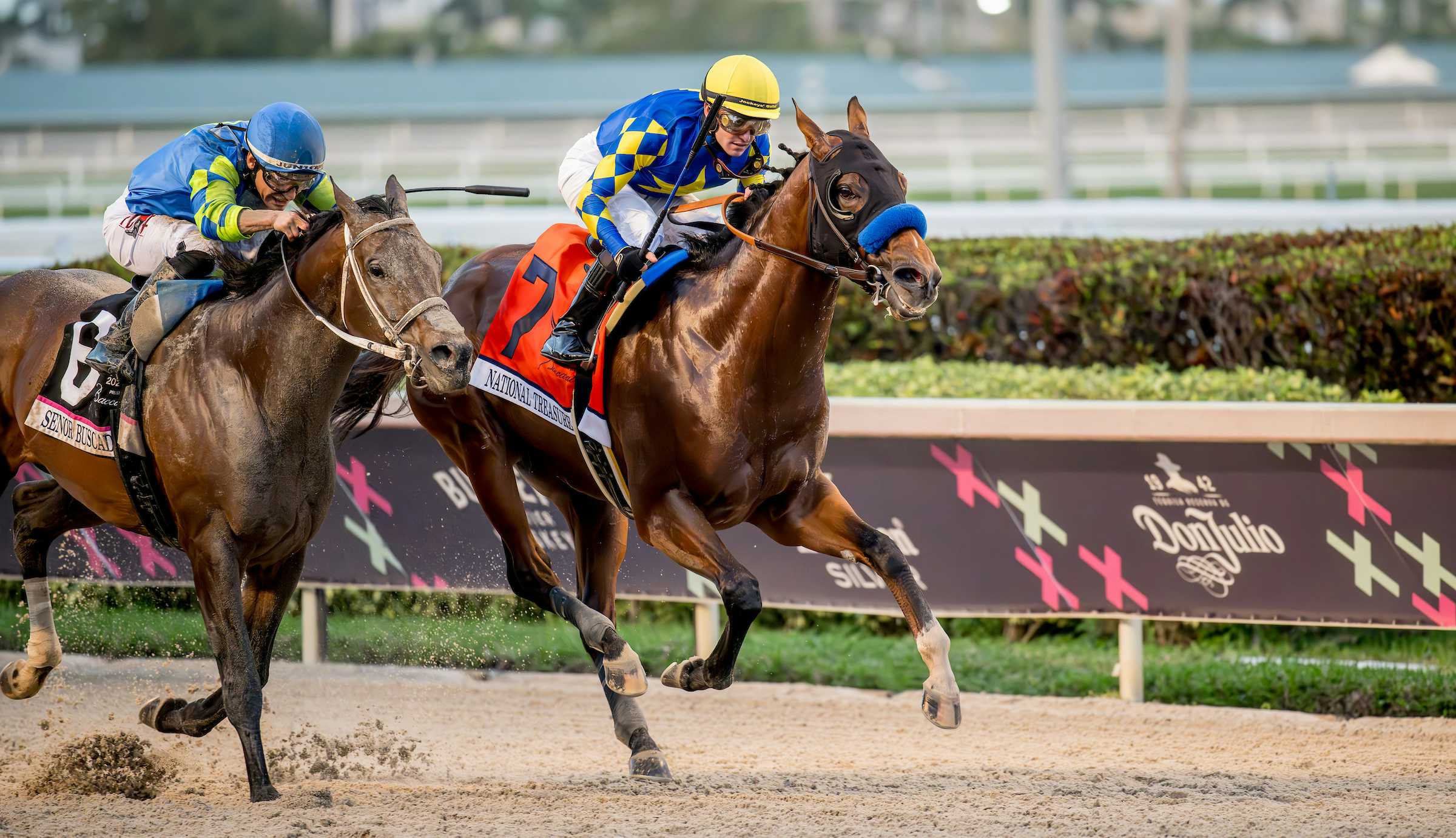 National Treasure, Senor Buscador , Muth Headline Field For Grade 1, $1 Million California Crown Saturday At Santa Anita