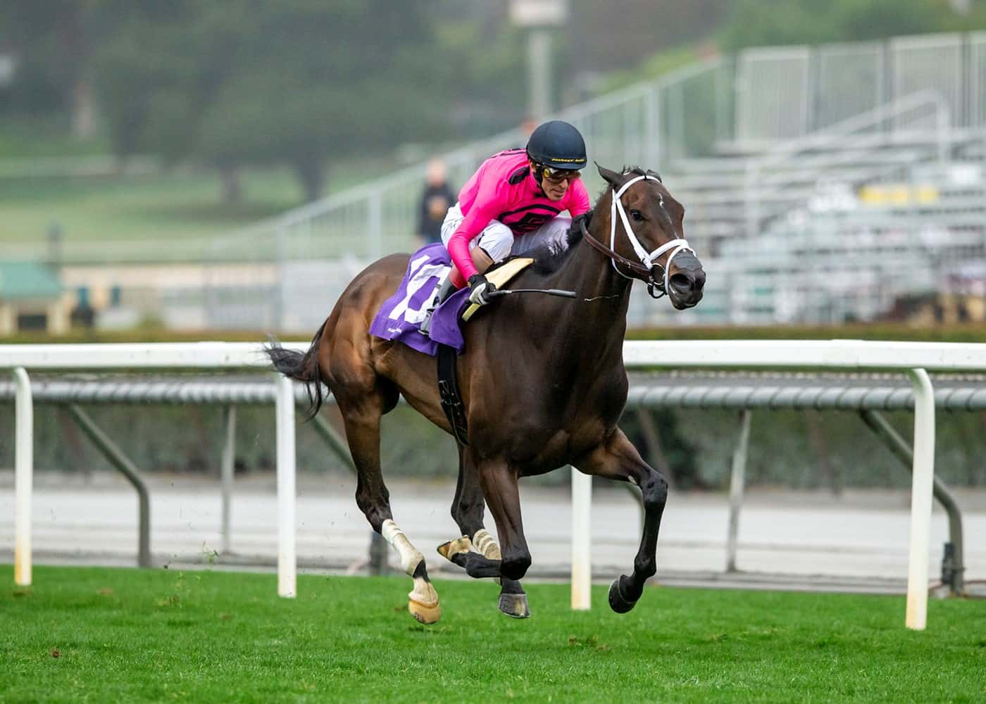 Favored Queen Goddess Calls All The Shots On The Lead And Takes Grade III, $100,000 Robert J. Frankel Stakes