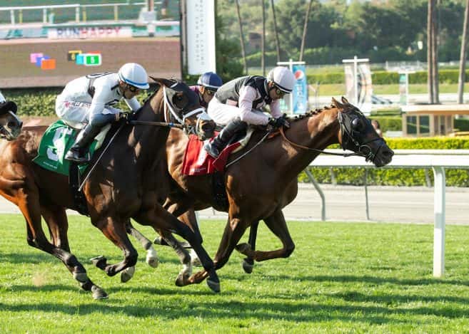 Improving Red Road Takes $69,000 Santa Anita Allowance Feature By A Neck