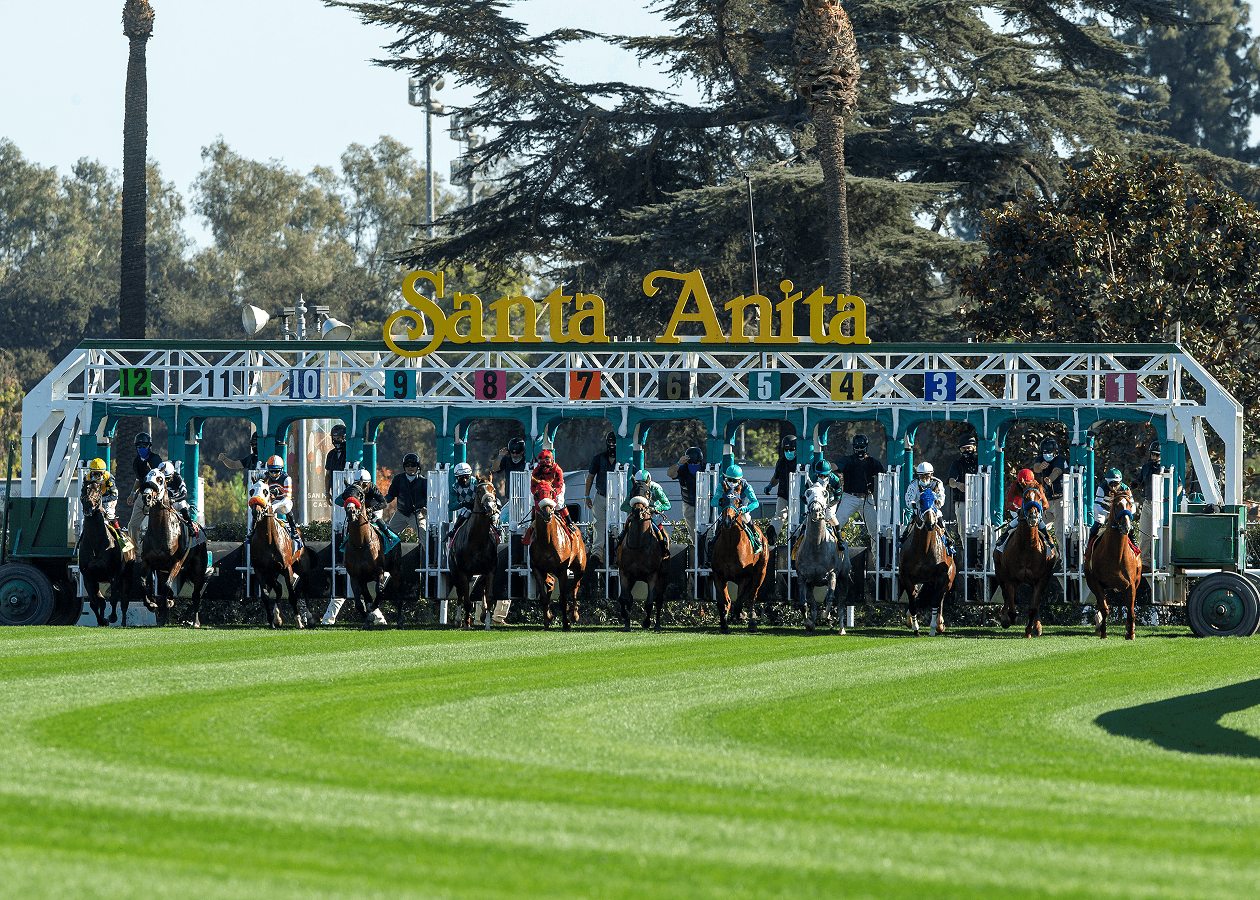 Santa Anita Will Again Offer A Wide Array Of Turf Racing This Winter