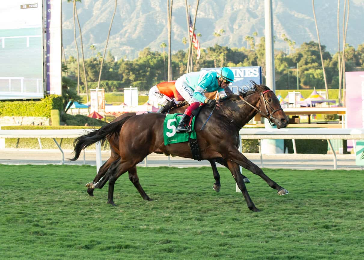 D’Amato’s Easter Looms Standout In Tuesday’s Grade II, $200,000 San Gabriel Stakes At 1 1/8 Miles On Turf