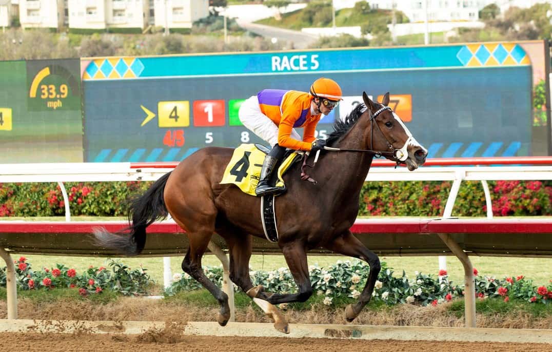 Improving Anacapa Rates Big Look In Saturday’s Grade III, $100,000 Las Flores Stakes