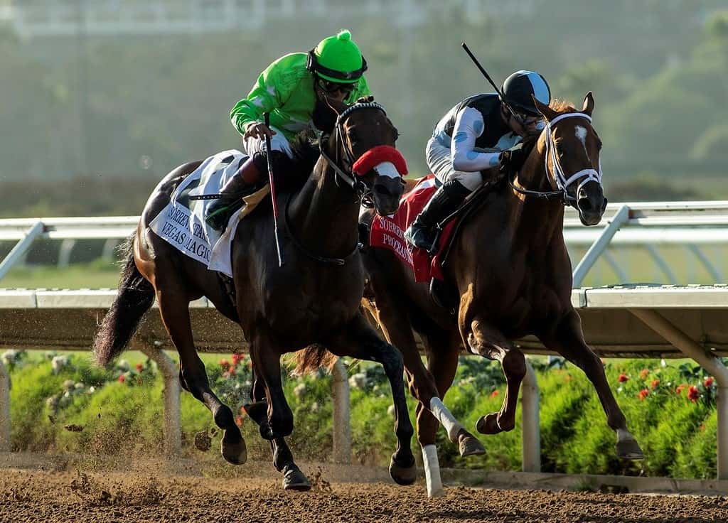 Santa Anita Stable Notes Saturday, February 18, 2023