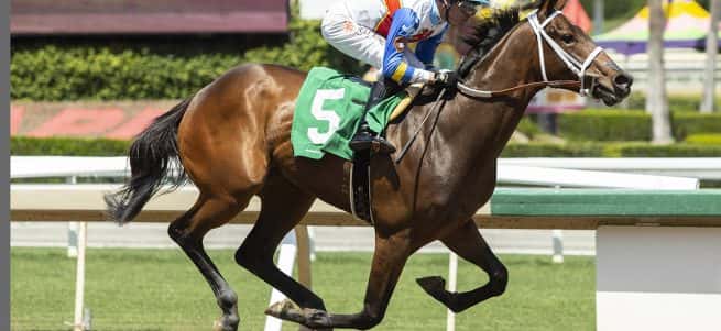 HIGH FLYING TOM’S REGRET HEADS SATURDAY’S $100,000 FASIG-TIPTON DEBUTANTE AS JUVENILE FILLIES GO FIVE FURLONGS