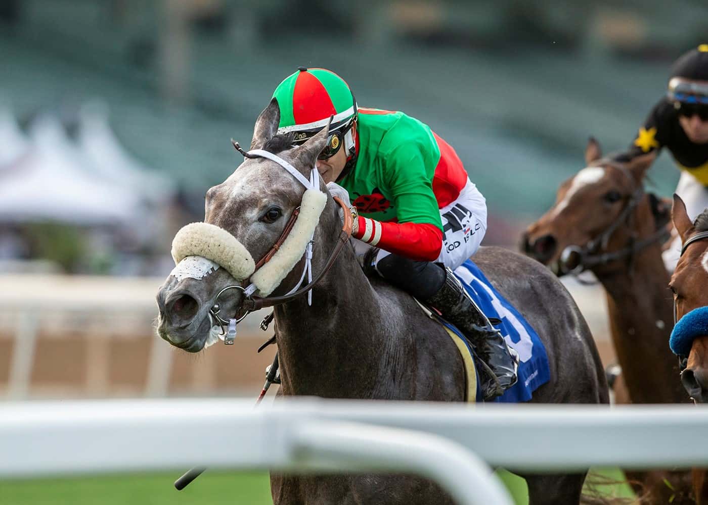 Grazed My Heart Up To Win $200,000 Leigh Ann Howard California Cup Oaks