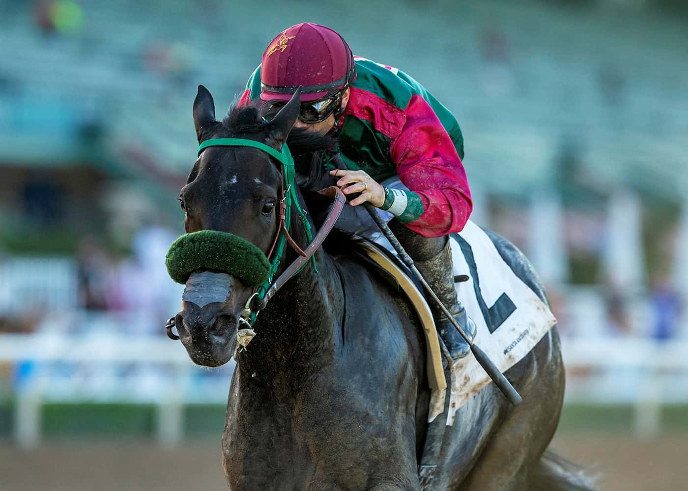 Williams’ Homebred Passarando Ships From Golden Gate Fields To Head Saturday’s $200,000 California Cup Derby