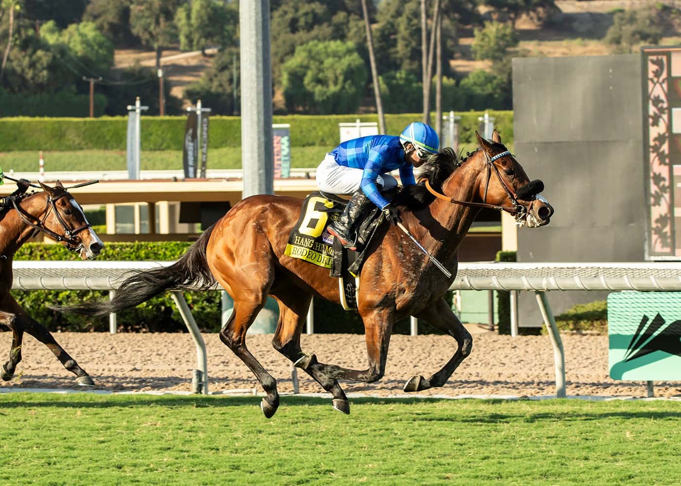 Hang The Moon (9-1) Rallies From Last And Wins The GII, $200,000 Rodeo Drive Stakes For Fillies And Mares Going 1 ¼ Miles On Turf Saturday