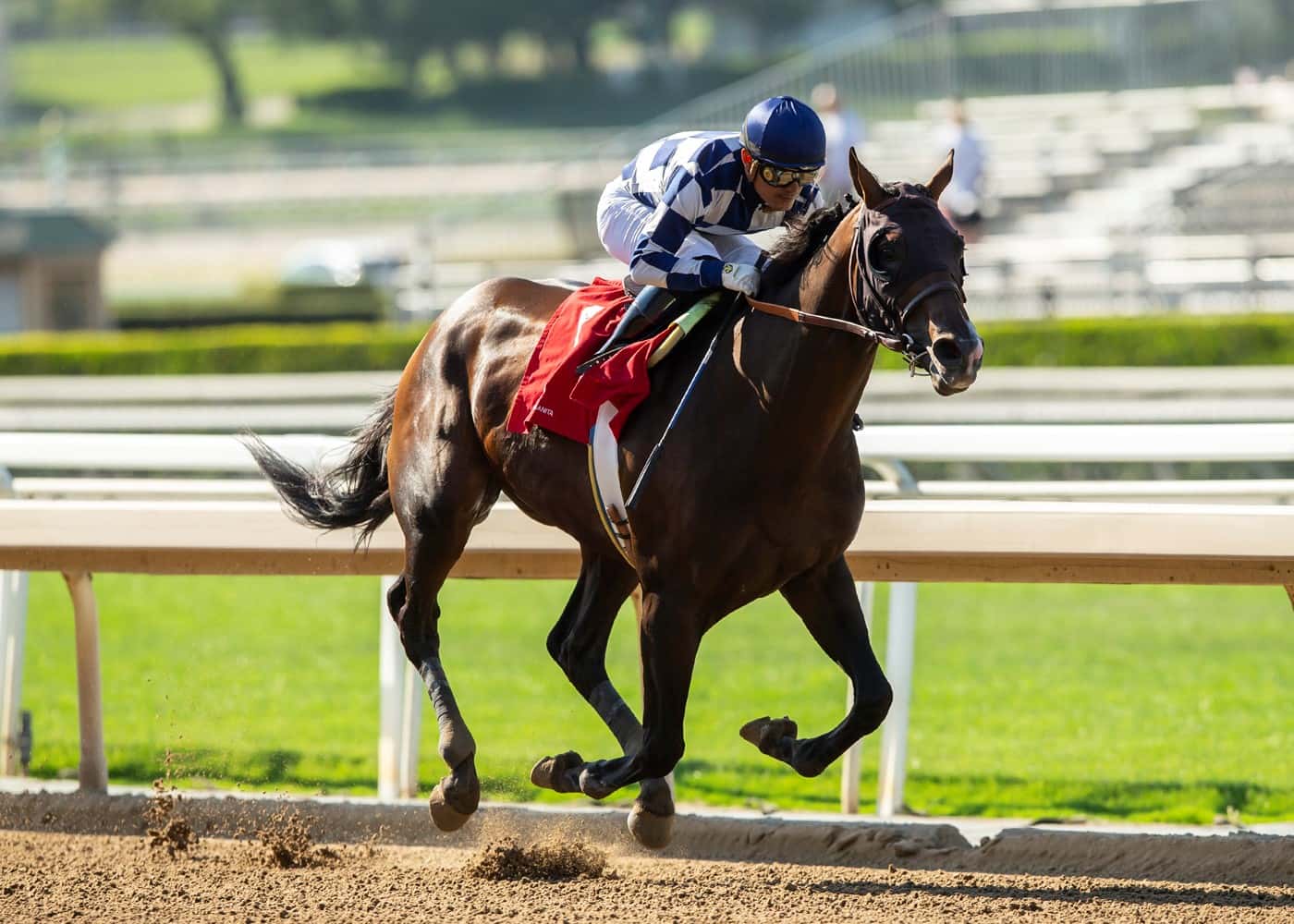 Comebacking Hopper Heads Field Of Nine In Saturday’s Grade II, $200,000 San Pasqual Stakes