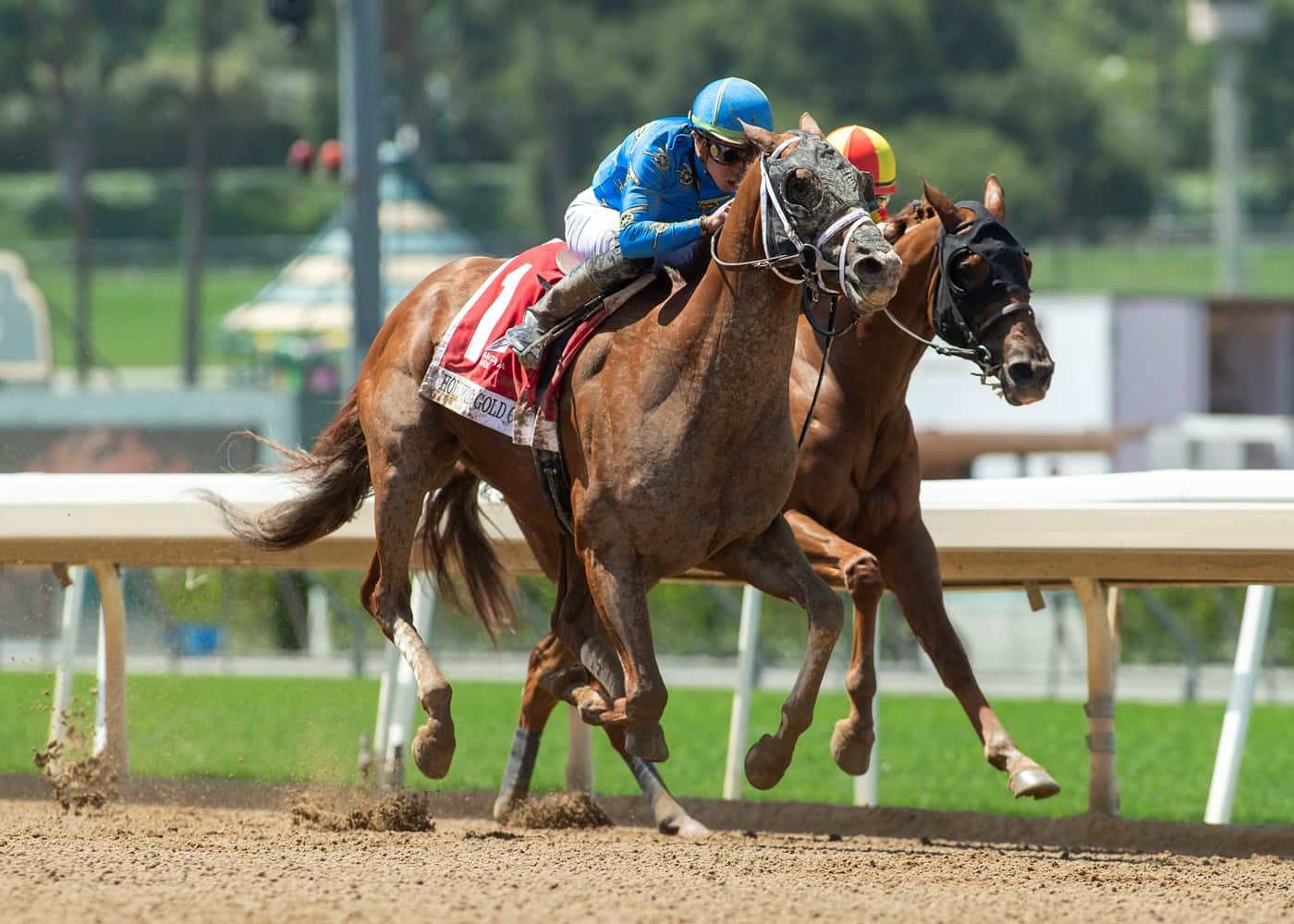 Santa Anita Stable Notes Thursday, February 2, 2023