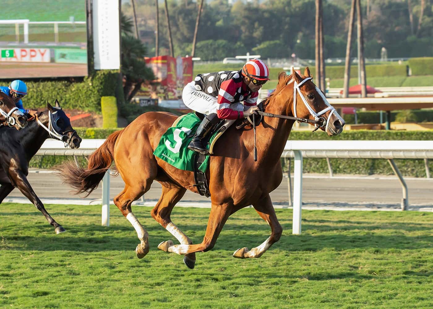 Exceed Speed Limit Rallies For 1 ¾ Length Win $63,000 Santa Anita Allowance Feature 