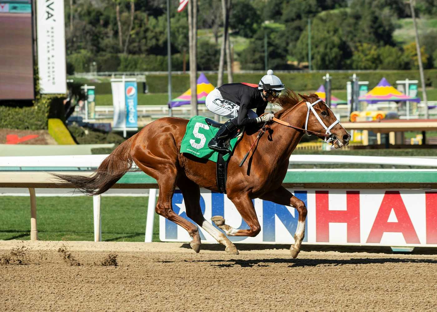 The Chosen Vron Amasses His Ninth Career Stakes Win As He Marches To 6 ½ Length Score In $100,000 Tiznow Stakes 