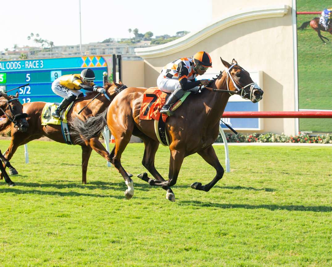 Unbeaten Artislas Looks For Another Graded Stakes Win In Sunday’s GIII, $100,000 Zuma Beach Stakes